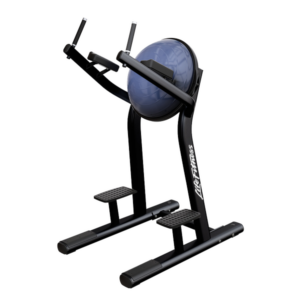 SIGNATURE SERIES LEG RAISE