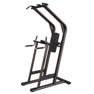 SIGNATURE SERIES CHIN/DIP/LEG RAISE