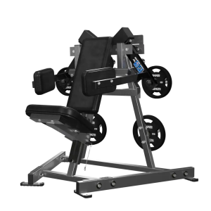 Plate Loaded Lateral Raise