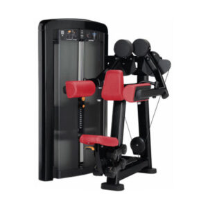 insignia-series-lateral-raise-image-2-