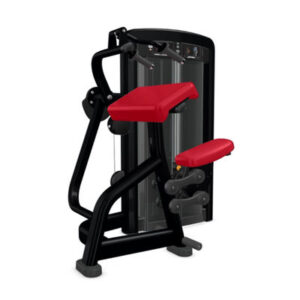 insignia-series-triceps-extension-image-2-