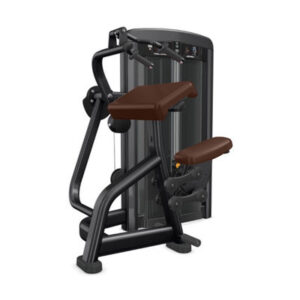 insignia-series-triceps-extension-image-3-