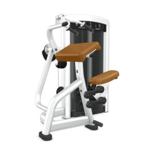 insignia-series-triceps-extension-image-7-