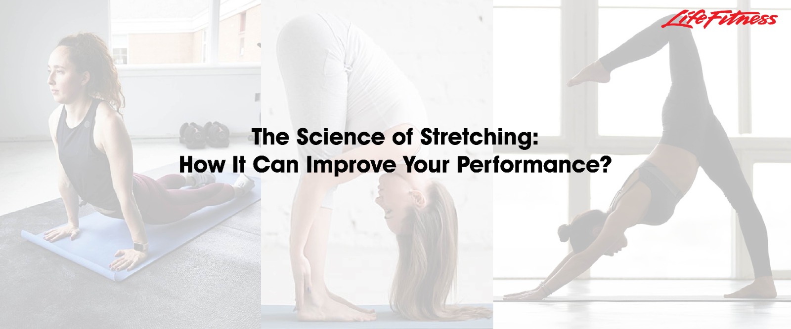 The Science of Stretching: How It Can Improve Your Performance