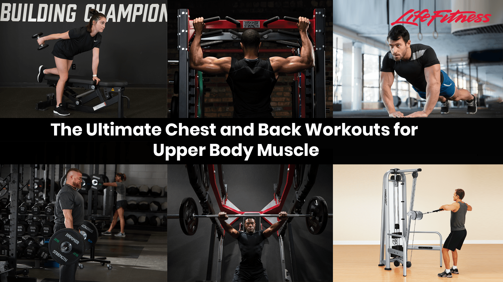 The Ultimate Chest and Back Workouts for Upper Body Muscle