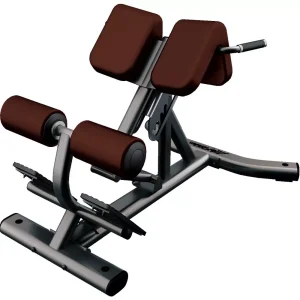 Life Fitness Back Extension (LBR-BE)