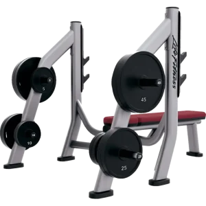 Olympic Bench Weight Storage
