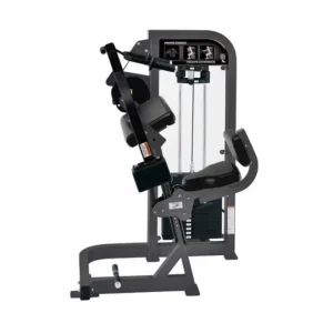 Select Seated Tricep Extensions